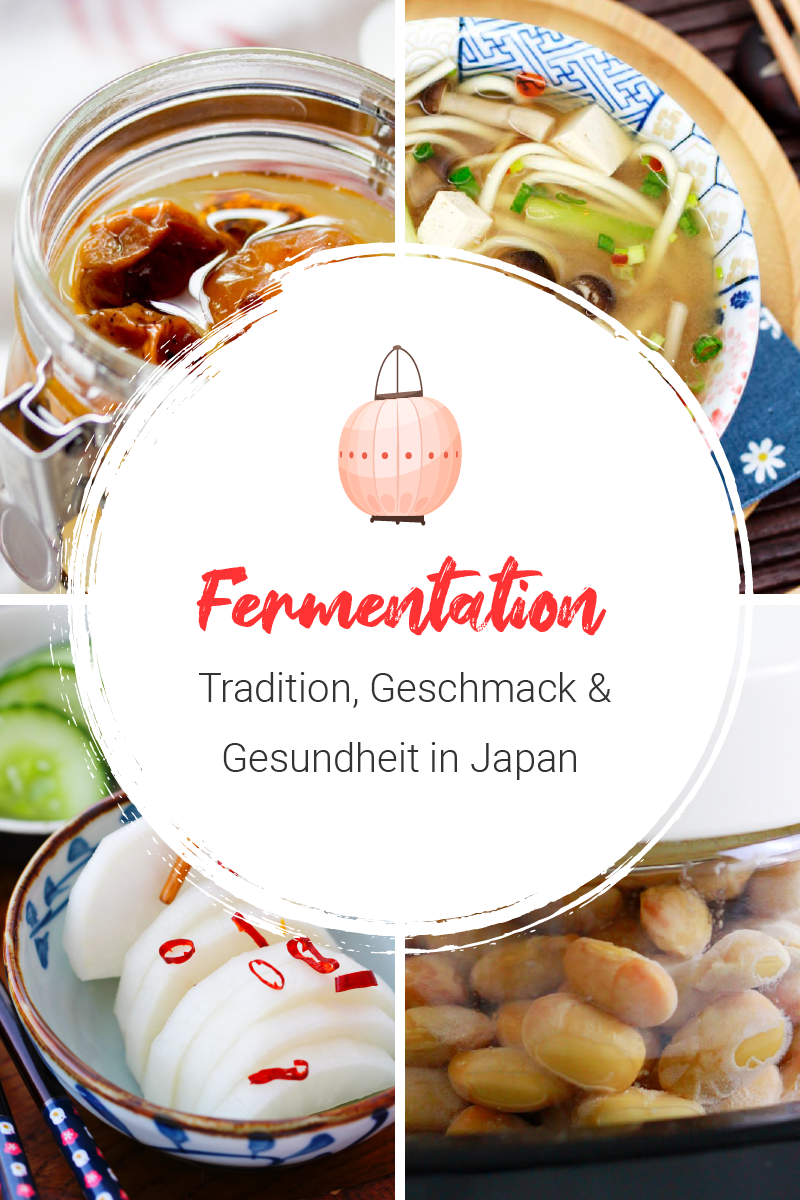 Fermentation Titelbild